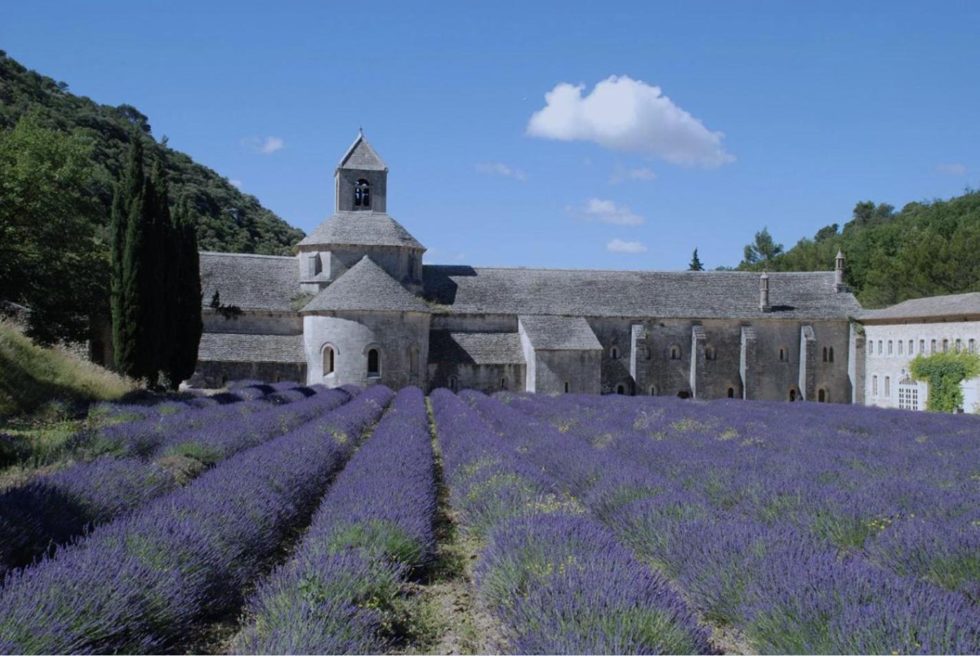 Le Clos Du Moulin 3, With Garden, 3 Bedroom (adults Only) Hébergement de vacances *